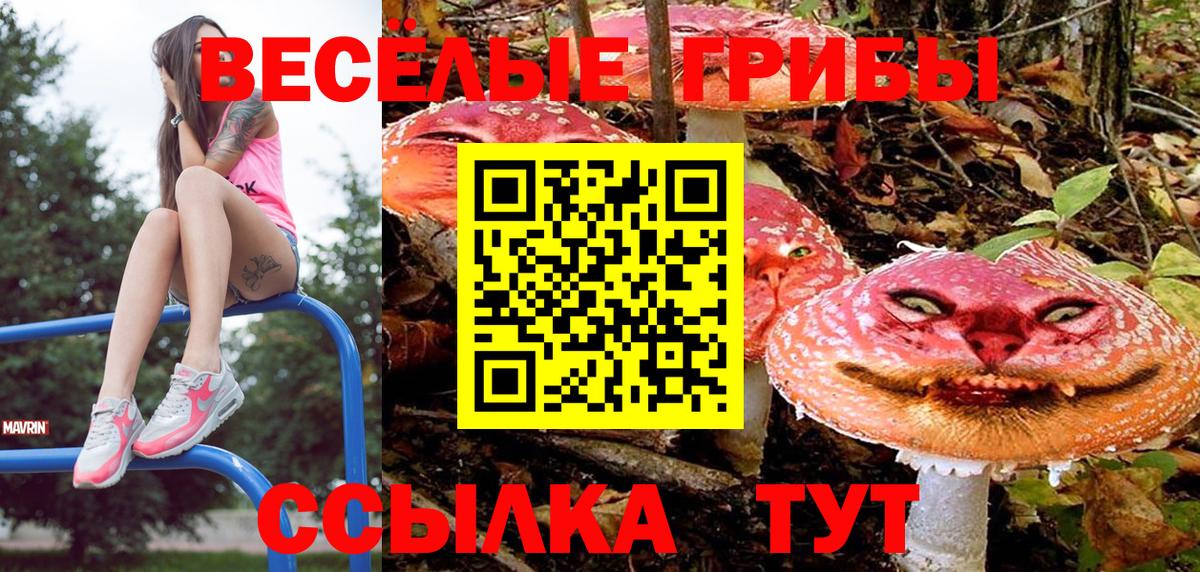 закладки  Псилоцибиновые грибы GOLDEN TEACHER  Галлюциногенные грибы мицелий  Вход с VPN  Дагестанские Огни 